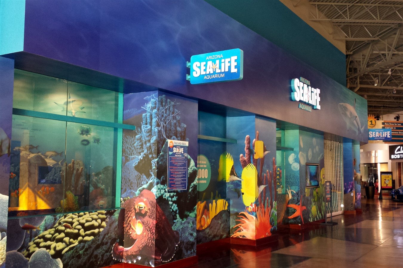 Sea Life Arizona Aquarium Review By Jamie Tomkins Experience Sea Life