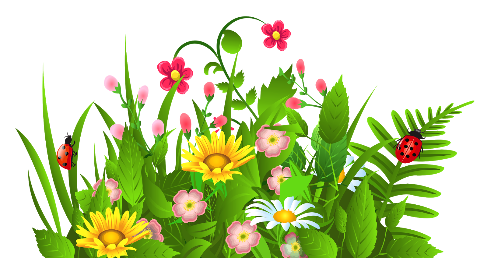 clipart of summer flowers - photo #38