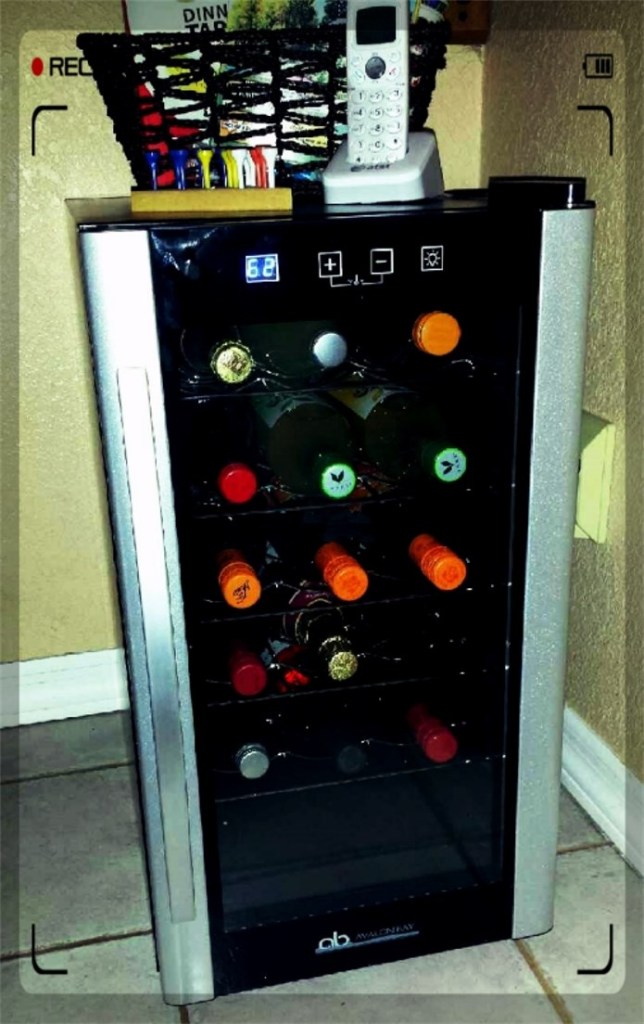 Avalon Bay Wine Cooler (ABWINE18S) Review TigerStrypes