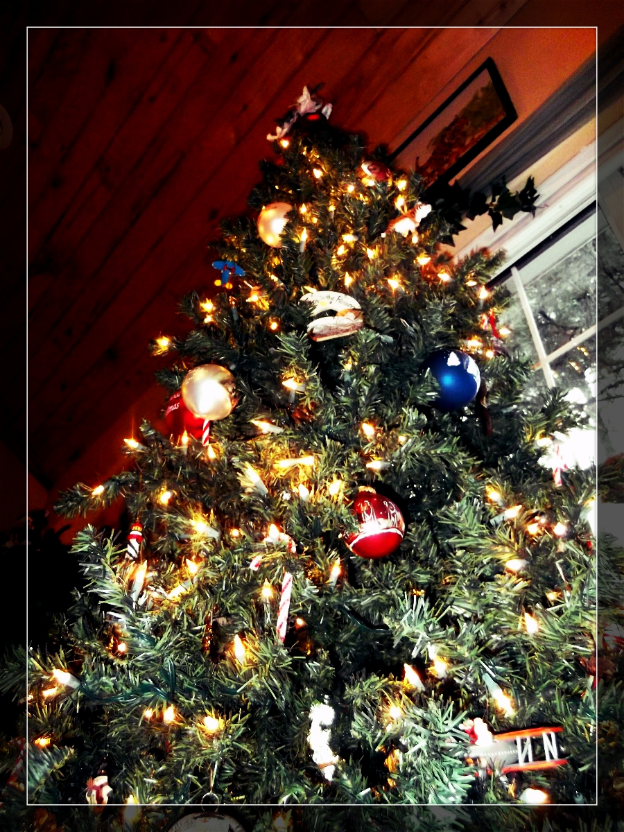 The Symbol of the Christmas Tree TigerStrypes Blog