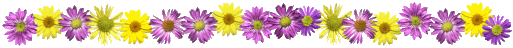 yellow-purple-flower-bar