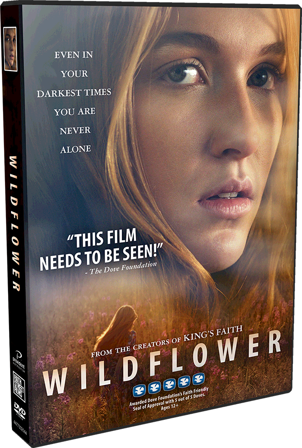 REVIEW: Wildflower DVD - Dealing With The Past #TigerStrypesBlog