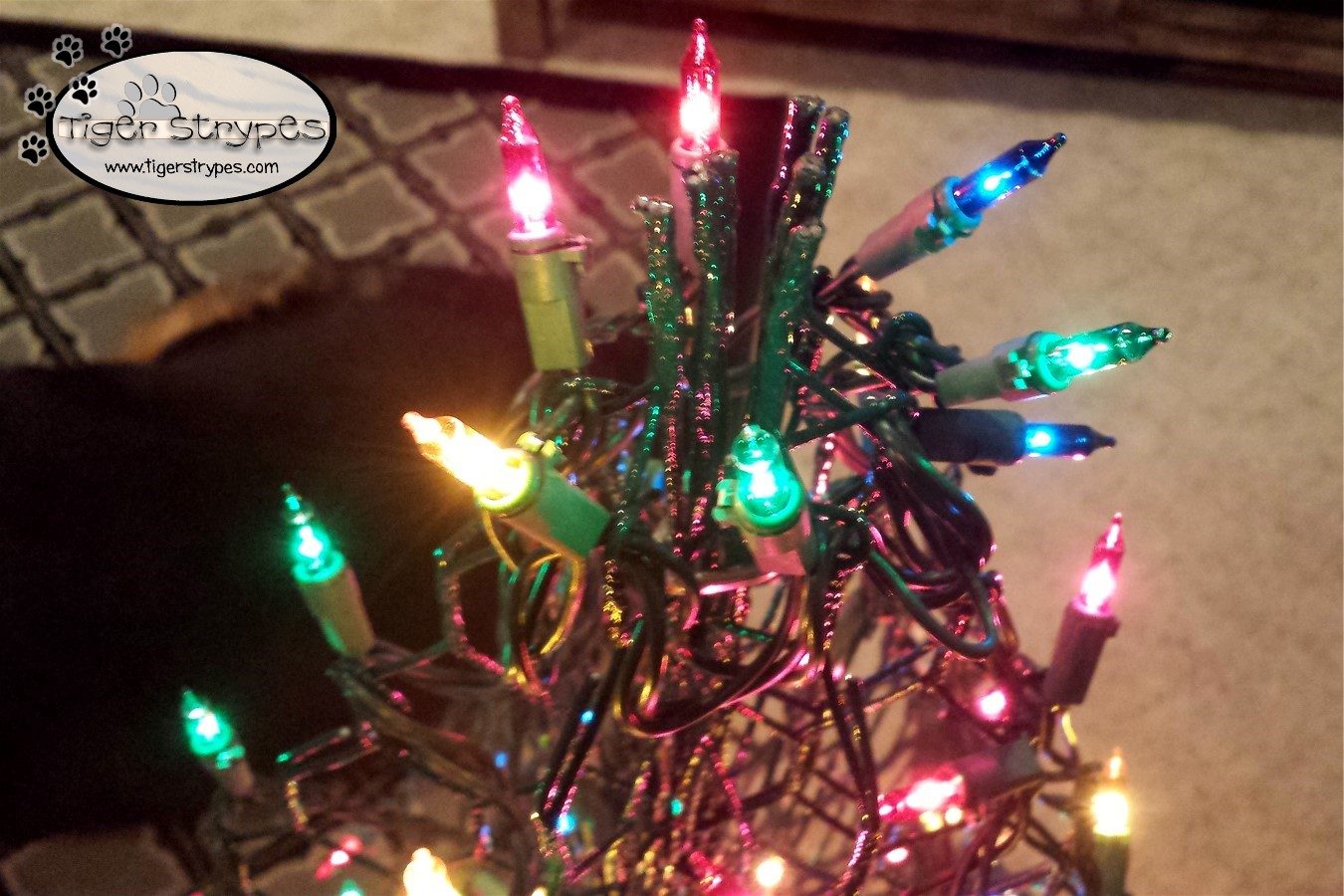 PortofWells crab-pot tree built \u0026 ready for #WellsNexttheSea Christmas tide  this coming Saturday. Santa arrives at the Quayside from sea at 1700, under  a spectacular #NorthNorfolkCoast firework display. A free event \u0026, image size:1350x900