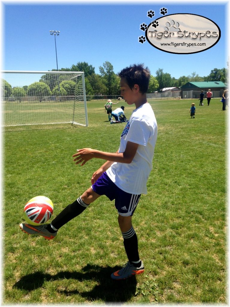 Get The Ball Rolling...Soccer Ball, That Is! TigerStrypes Blog