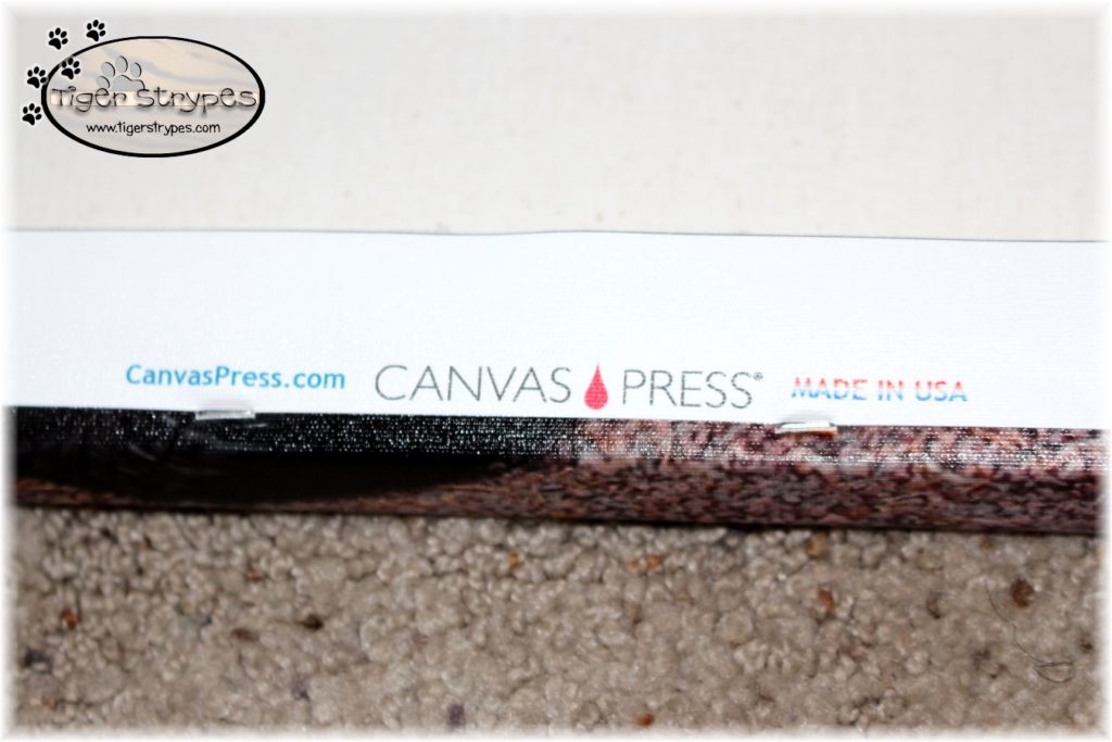 canvas press