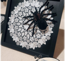 web