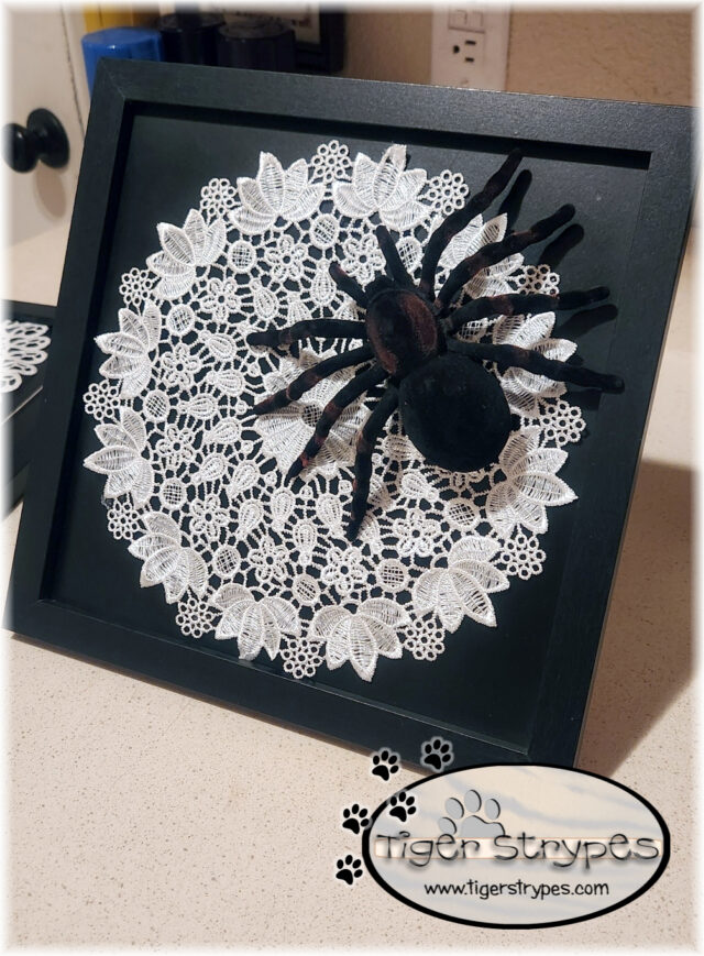 web