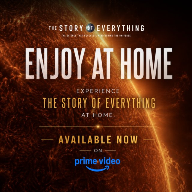 everything